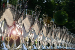SPRAY CHROME FOR TROPHY AND AWARD MANUFACTURERS